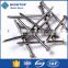 Galvanized nail/common iron nail factory manufacturer in China