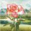 3d pictures with 4 images flip change effect of beautiful flowers
