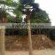 Artificial plastic Outdoor Palm Trees , Fake Palm Tree for Decoration