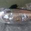AUTO ACCESSORIES & CAR BODY PARTS & CAR SPARE PARTS AUTO LIGHT FOR CHEVROLET SPARK 2011-