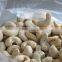 Good price Vietnam cashew nut kernels