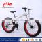Big tyre bike with good price /21 speeds fat tire bike / 26 inch fat tire snow bike