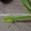 "Polar light 3"5.0mm el wire +Steel wire 0.55mmX2PCS +Nylon weaves the network