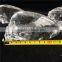 Natural Precious Clear Quartz Crystal Skull Figurine Ornaments