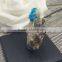 Natural Okenite Stone Crystal Mineral Specimen
