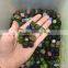 Natural High Quality Colorful Opal Crushed Stones