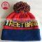 2015 fashion warm ,cute winter hats soft custom cheap design logo winter hats children beanie hats