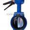 butterfly valve dn200 with water