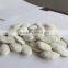 china roasted salted snow white pumpkin seeds with market price