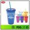 Wholesale Bpa Free Plastic 16oz Double Wall Mug With Straw