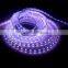 christmas DC12V 3528 led strip lights led flexible strip light
