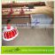 LEON broiler pan feeder/automatic pan feeding system for broiler/poultry farm equipment
