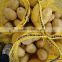 fresh yellow potato from new crop ( china origin)