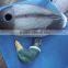 XPE foam duck decoy body sand keel balancer decoy duck