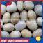 DYAN Driveway Blue Stone Cheap Cobblestones for Sale