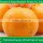 sweet fresh tangerine/mandarin orange /lugan/Lokan/ponkan on sale