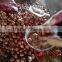 High quality fresh shallot/rose onion