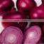 ONION ( RED - YELLOW )
