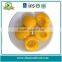 High Quality Canned Yellow Peach for Export
