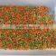 New Crop Frozen Mixed Vegetables