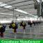 Economica multi-span Polycarbonate Greenhouse kits Wholesale