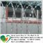 PVC coated OR galvanized prison razor barbed wire fence