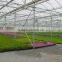 Commercial Greenhouse Galvanized Steel Tube Farm Commercial Greenhouse