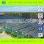 Multi-Span Commercial Polycarbonate Greenhouse for Sale