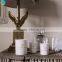 candle holders for the wall Glass Candle in Colored Jar wit Lid