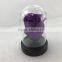 Clear Acrylic display dome with base for display decorations