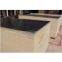 commercial plywood/fancy plywood/film faced plywood