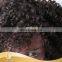 10" kinky curly wig handmade wig, cheap price and high quality