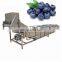 fruit & vegetable processing machines mulberry raspberry cleaning dry machine