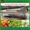 China popular selling Air Bubble Vegetable and Fruit Washing Machine