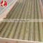 tin brass tube