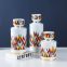 European Simple Style Cylinder Colorful Line Painting Ceramic Flowers Vases Sets With Lid For Dining Room
