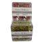 100pcs Standard  10A-30A Low Profile Blade Auto Fuse Plug