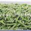 Sinocharm BRC A Approved 3-5 см IQF Frozen Green Bean Cut (Замороженные нарезанные зеленые бобы)