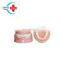 HC-S420 Denta lteeth model with teeth root human standard removable teeth model for study