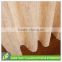 New style Creative style Fashion indian voile curtains