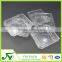Customized plastic blueberry blister packaging box