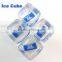 Square Shape Artificial Plastic Ice Cubes