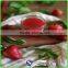 Wholesale Fresh Frozen Strawberry Puree