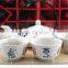 5 Pieces Porcelain Tea Set Flat Tea Pot Japanese Style