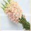 kunming supplier purple light color fresh cut flowers antirrhinum for newyear