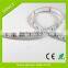 Shenzhen factory LED amusement lights smd5050 strip lighting 5m/reel