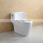 Floor Installed Type Dual Flush Siphon Toilet