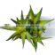 Potted Artificial Mini Succulent Plants