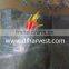 Harvest Dalian China Melt Extracted steel fibre for refractory materials for power plant ML304/35/.50ST