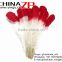 ZPDECOR Selected Prime Quality Cheap Bulk Colored Red Half Dipped Bicolourable Turkey Feathers for Fashion Decorations